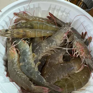 어사출또 사진