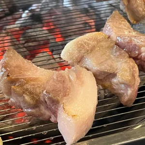 식껍 사진