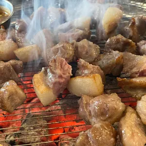 식껍 사진