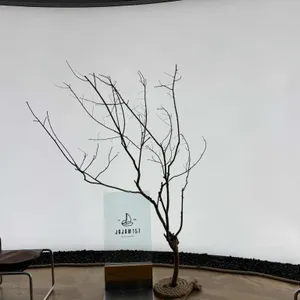 자잠 157 리뷰 사진