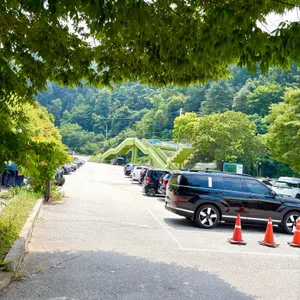 게으른악어 리뷰 사진