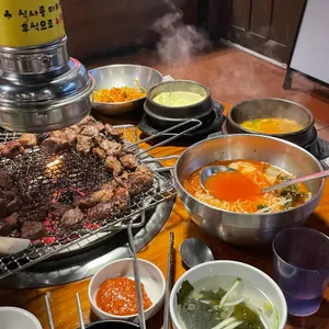 서울갈매기 사진
