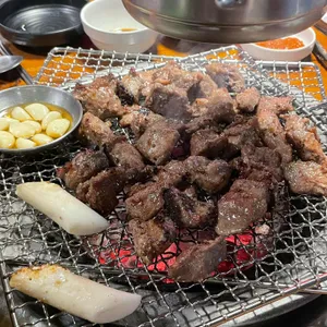 서울갈매기 사진 2