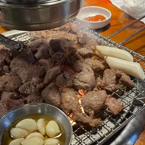 서울갈매기 사진