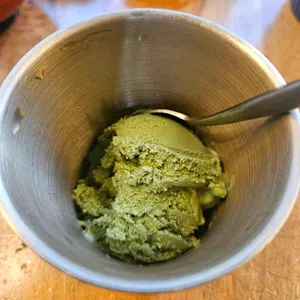 타마 사진