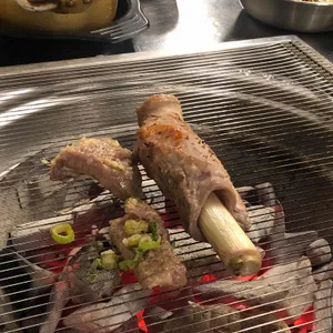 탄천갈매기 사진 1