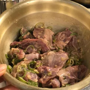 탄천갈매기 사진