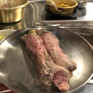 탄천갈매기 사진