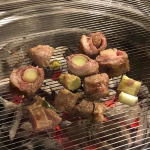 탄천갈매기 사진