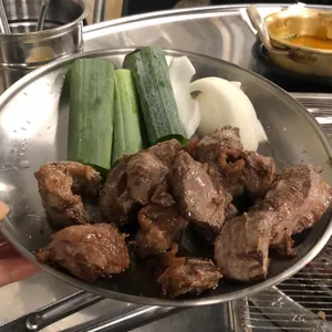 탄천갈매기 사진