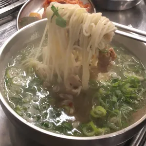 탄천갈매기 사진
