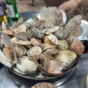 갯마을조개 사진