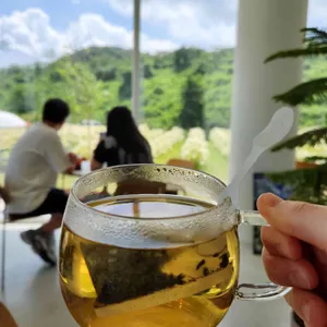 모멘도르 사진 2