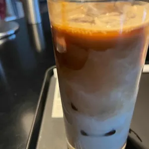 프로토콜 사진 1
