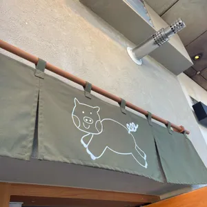 솔카츠 사진