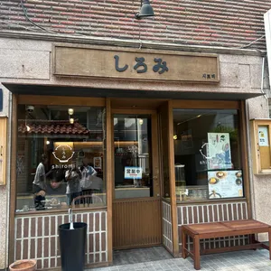 시로미 사진