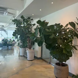 몰토 리뷰 사진