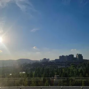 9로평상 리뷰 사진