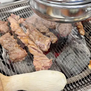 부산갈매기 대표 사진