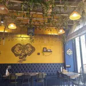 타논55 리뷰 사진