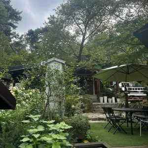 백란 리뷰 사진