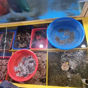 아라호 리뷰 사진