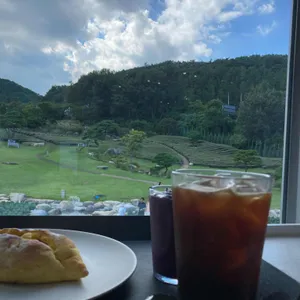 느티나무의사랑 사진