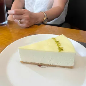 한스 사진 1