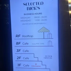 셀렉티드닉스 리뷰 사진