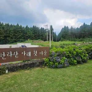 한라산아래첫마을 영농조합법인 리뷰 사진