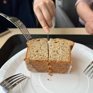쏠마레일피노 대표 사진