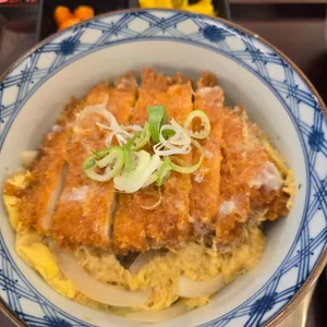 코시 사진 2