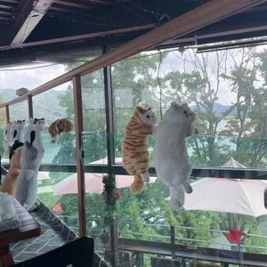카페만경 리뷰 사진