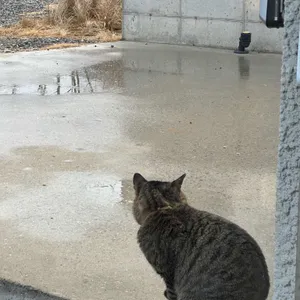 빌리앤오티스 리뷰 사진