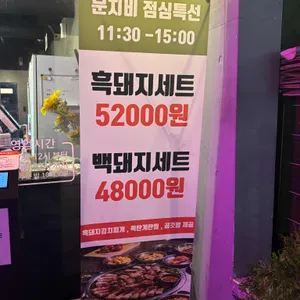 문치비 사진