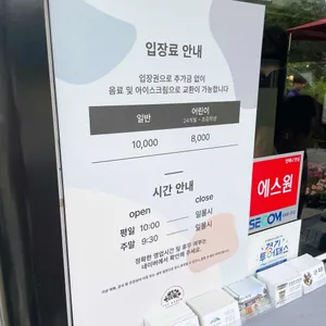 더그림 리뷰 사진