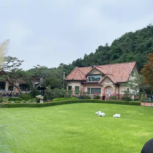더그림 사진 2