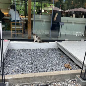 소제예찬1927 대표 사진
