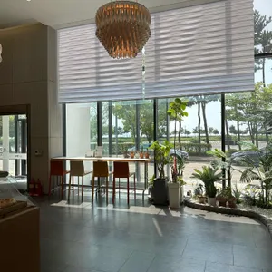 쏠마레일피노 리뷰 사진