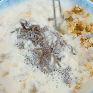 곰이네 사진 1