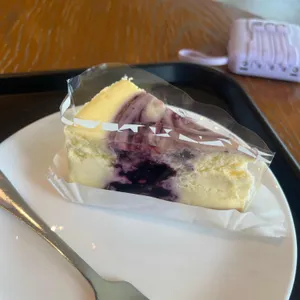스타벅스 대표 사진