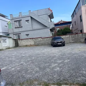대일 함흥냉면 리뷰 사진