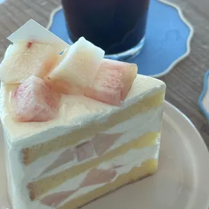 샌디스 사진 2