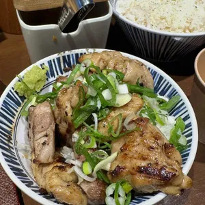 멘지 사진