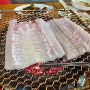 순천만바다장어 사진