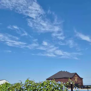 카페더비 리뷰 사진