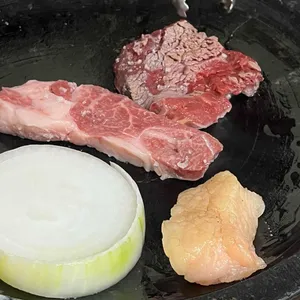 한라산조랑말 사진