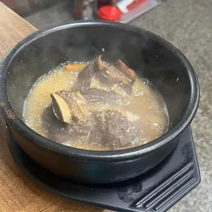 한라산조랑말 사진