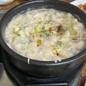 한라산조랑말 사진