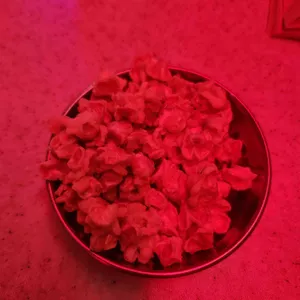 생활맥주 대표 사진